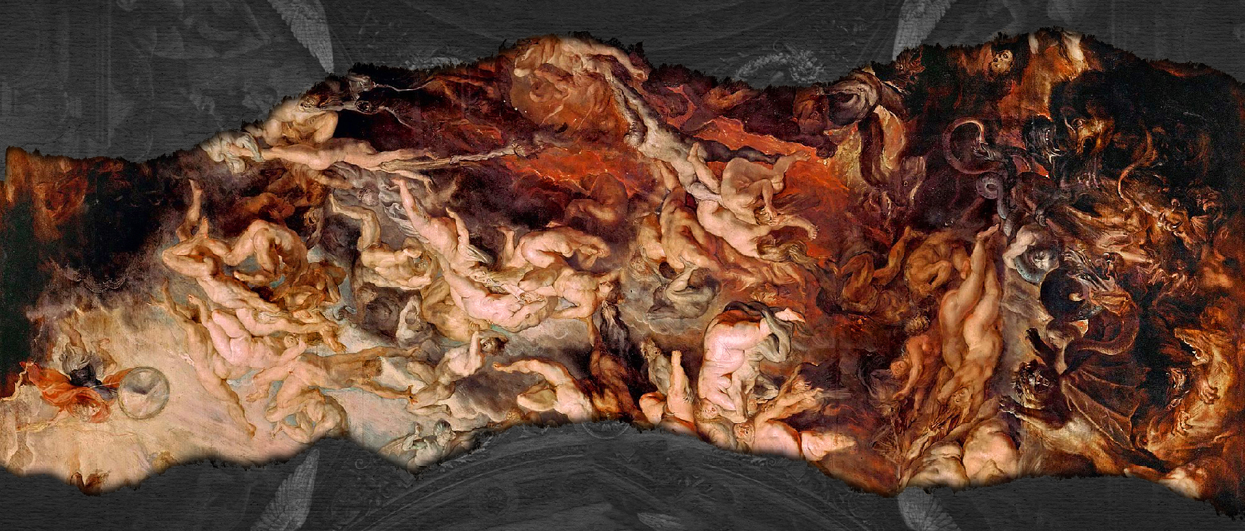 op__cat_landing_1800x768