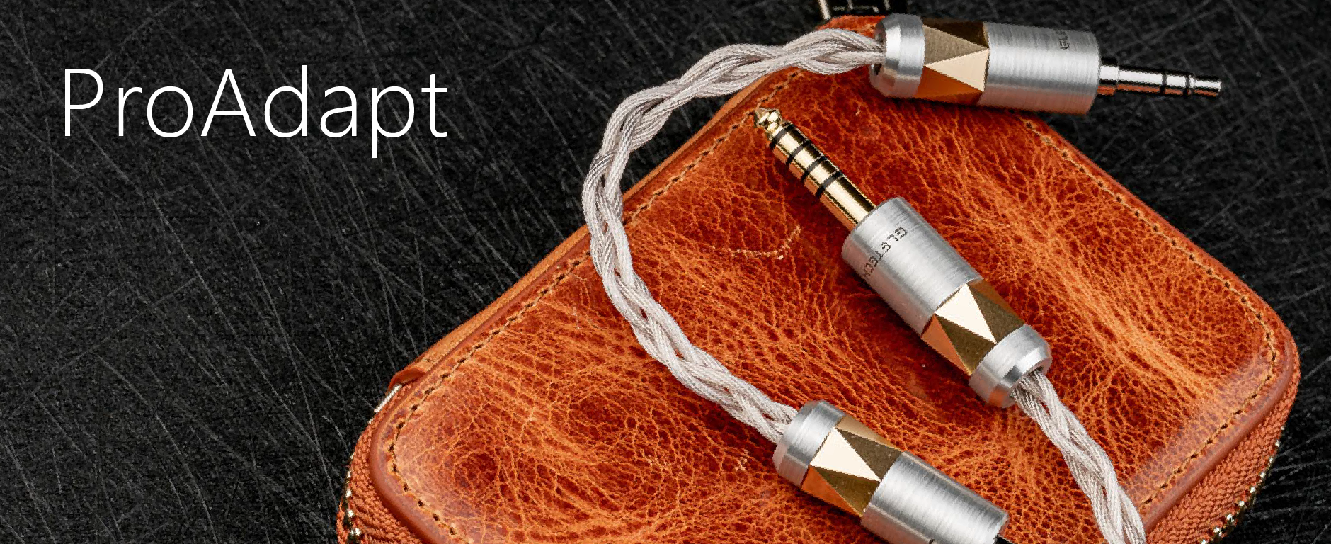 pro_adapt_工作區域 1